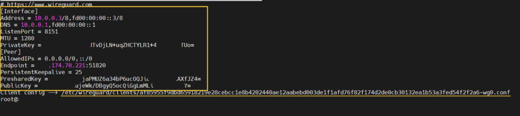 VPN на WireGuard + Unbound DNS 1 screenshot 2022 11 28 163159